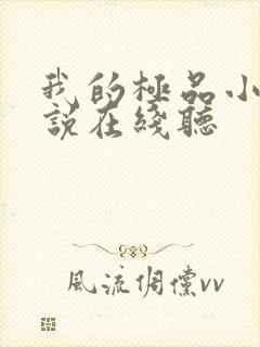 我的极品小姨小说在线听