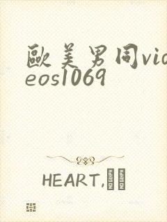 欧美男同videos1069封面