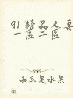 91 精品人妻一区二区