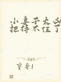 小妻子太凶陆爷把持不住了小说封面