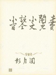 小说小阁老无弹窗全文免费阅读封面
