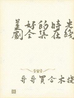 美好的时光电视剧全集在线观看免费