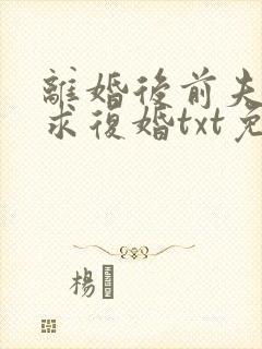 离婚后前夫哭着求复婚txt免费下载