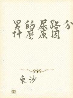 男的尿路分叉是什么原因