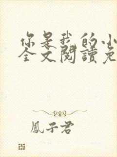 你是我的小确幸全文阅读免费