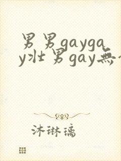 男男gaygay壮男gay无套