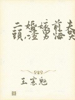 二婚嫁前夫死对头,渣男悔哭了结局封面