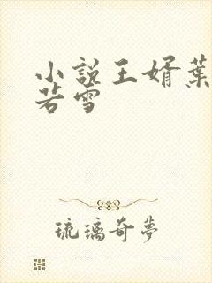 小说王婿叶凡唐若雪