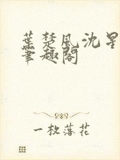 叶楚风沈星岚2笔趣阁