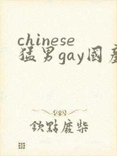 chinese猛男gay国产