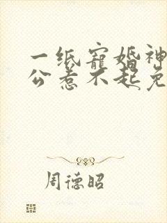 一纸宠婚神秘老公惹不起免费阅读封面