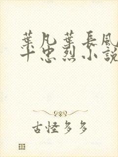 叶凡叶长风一门十忠烈小说书名封面