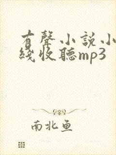 有声小说小苮儿线收听mp3