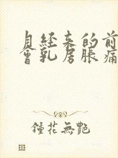 月经来的前几天会乳房胀痛