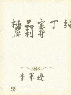 极品家丁 纯情犀利哥