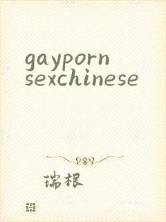 gaypornsexchinese