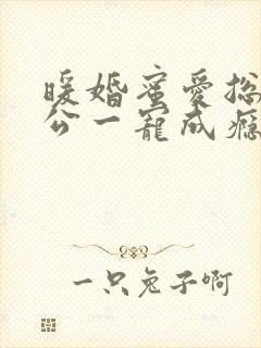 暖婚蜜爱总裁老公一宠成瘾封面