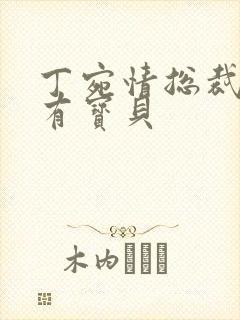 丁宛情总裁的私有宝贝封面