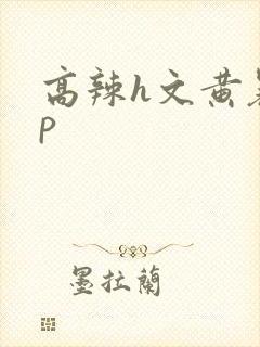 高辣h文黄暴np