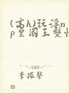 (高h)玩淫np皇国王双性