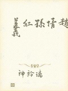 美红孙倩赵敏高义