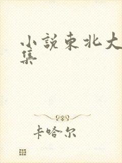 小说东北大炕全集