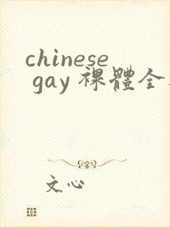 chinese gay 裸体全见封面