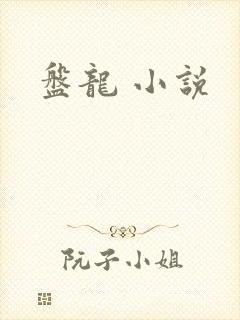 盘龙 小说封面