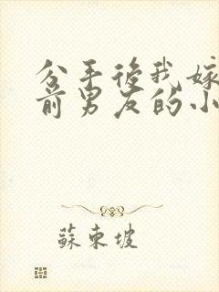 分手后我嫁给了前男友的小叔小说