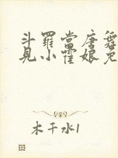 斗罗当唐舞麟遇见小霍娘免费阅读