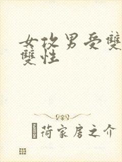 女攻男受双性对双性封面