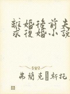 离婚后前夫哭着求复婚小说在线阅读免费