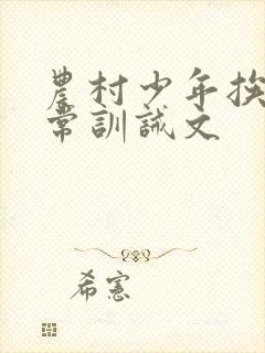 农村少年挨打日常训诫文封面