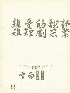 亲爱的翻译官小姐短剧宋繁星封面