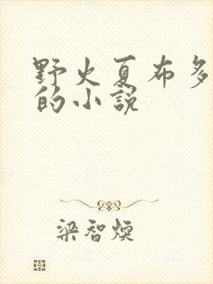 野火夏布多昂写的小说