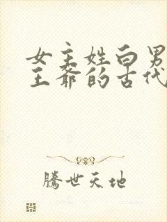 女主姓白男主是王爷的古代文封面