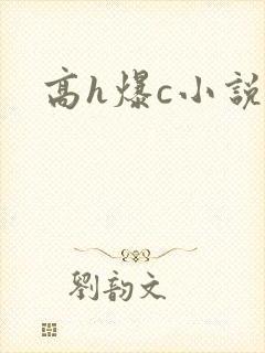 高h爆c小说