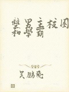 双男主校园校霸和学霸封面