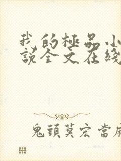 我的极品小姨小说全文在线阅读