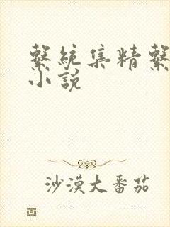 系统集精系统 小说