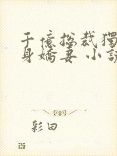 千亿总裁独宠替身娇妻 小说完整板封面