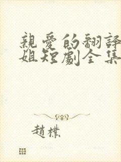 亲爱的翻译官小姐短剧全集在线观看