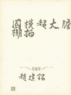 国模超大胆人体棚拍