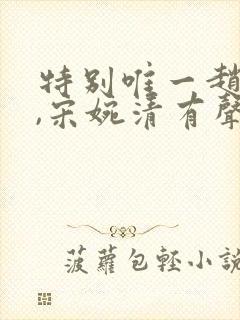 特别唯一赵振国,宋婉清有声小说封面