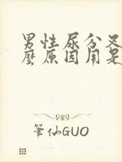 男性尿分叉是什么原因用是药