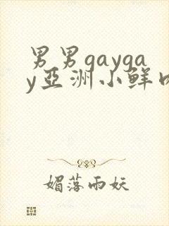 男男gaygay亚洲小鲜肉网站