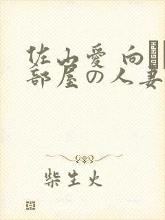 佐山爱 向かい部屋の人妻在线封面