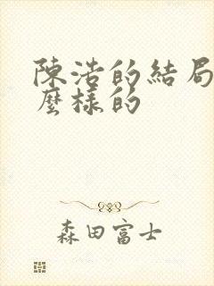 陈浩的结局是什么样的