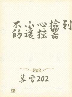 不小心捡到校霸的遥控器