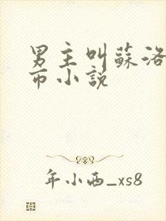 男主叫苏洛的都市小说